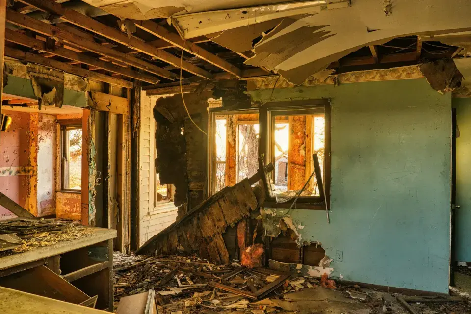 Leading Mold Removal Company in Lafayette — Lafayette, LA